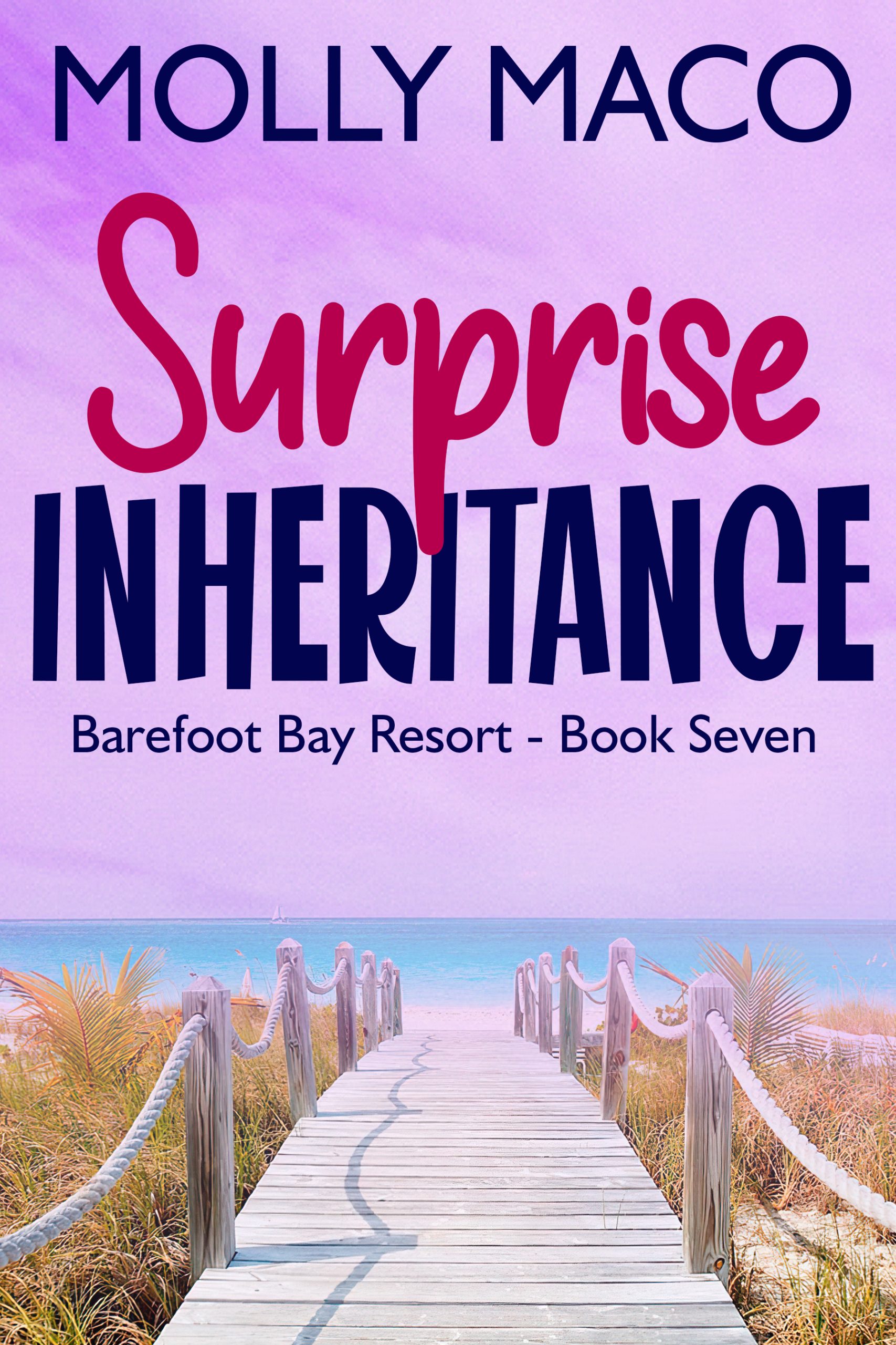 Surprise Inheritance – Book 7