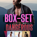 Dangerous Pursuit Boxset ( Book 1 - 4 )